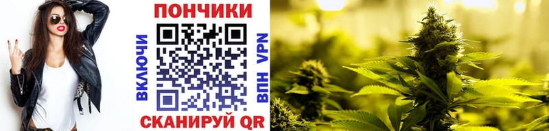 Купить Пятигорск Кокаин  ГАШ  hydra маркетплейс  Бошки Шишки  Альфа ПВП 