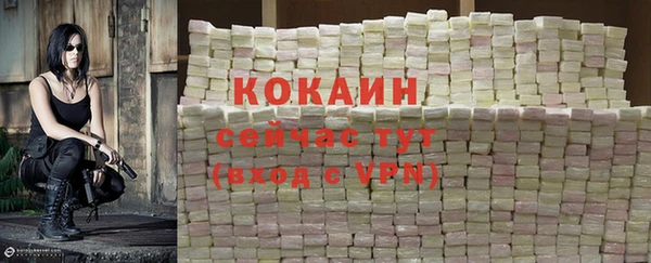 a pvp Аркадак